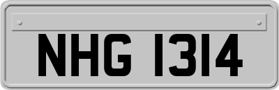NHG1314