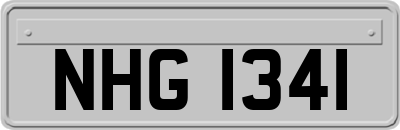 NHG1341