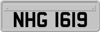 NHG1619