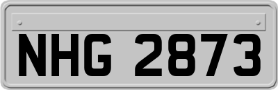 NHG2873