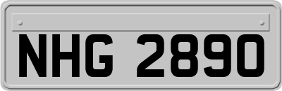NHG2890
