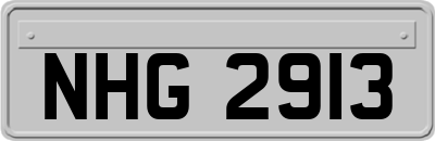NHG2913