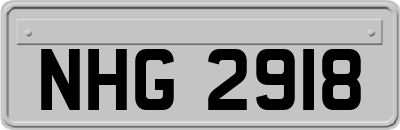 NHG2918
