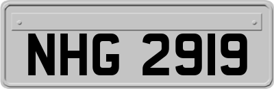 NHG2919