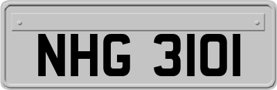 NHG3101