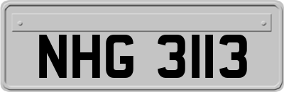 NHG3113