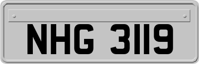 NHG3119