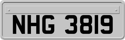 NHG3819