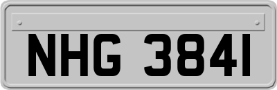 NHG3841