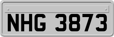 NHG3873