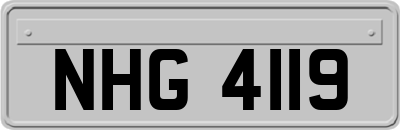 NHG4119