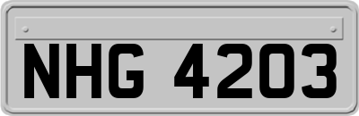 NHG4203