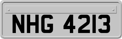 NHG4213