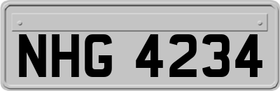 NHG4234