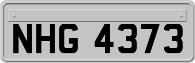 NHG4373
