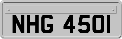 NHG4501