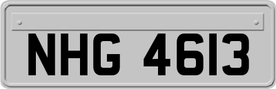 NHG4613