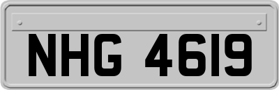 NHG4619