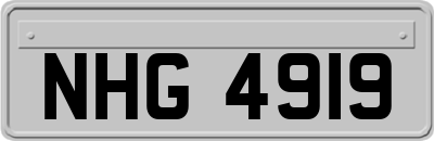 NHG4919