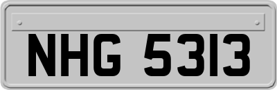 NHG5313