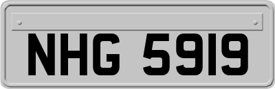 NHG5919