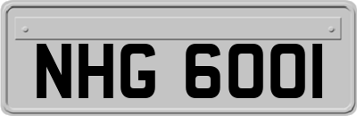 NHG6001