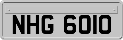 NHG6010