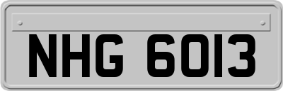 NHG6013