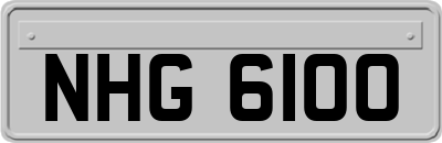 NHG6100