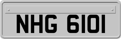 NHG6101