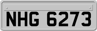 NHG6273