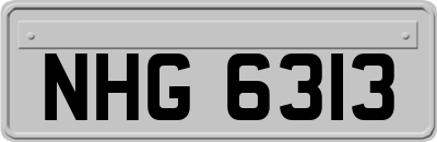 NHG6313