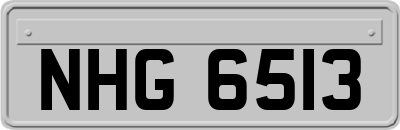 NHG6513