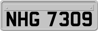 NHG7309