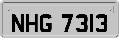 NHG7313
