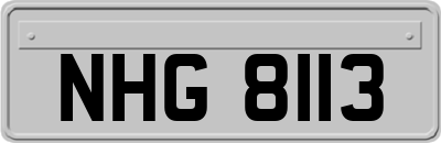 NHG8113