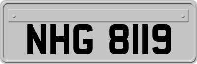 NHG8119