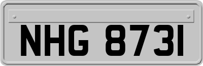 NHG8731