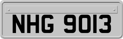 NHG9013