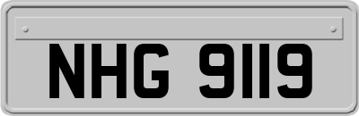 NHG9119