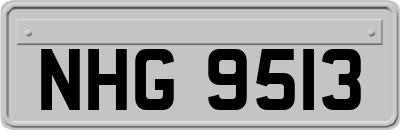 NHG9513