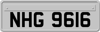 NHG9616