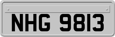 NHG9813