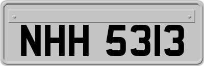 NHH5313