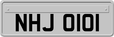 NHJ0101
