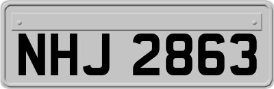 NHJ2863