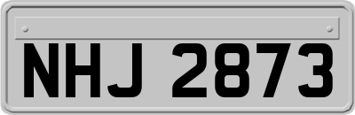 NHJ2873