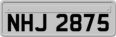 NHJ2875