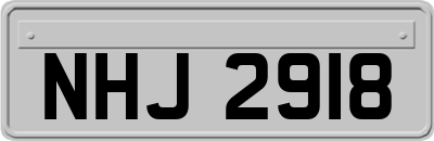 NHJ2918