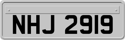 NHJ2919